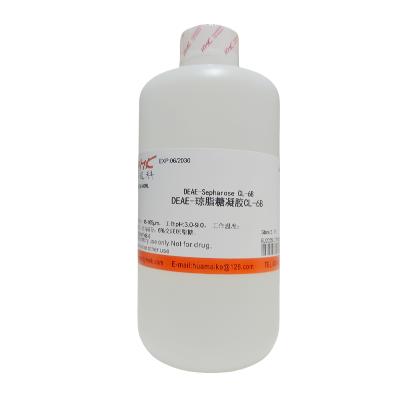 DEAE-琼脂糖凝胶CL-6B（凝胶过滤填料）